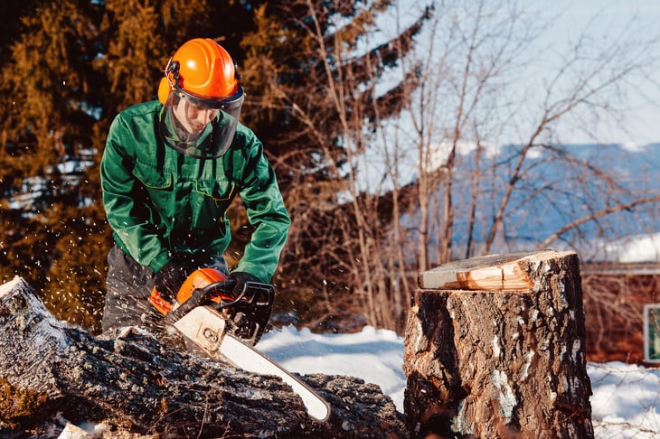Logging worker using a chainsaw on a downed tree