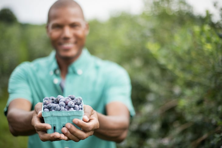 Man holding freshly picked blueberries