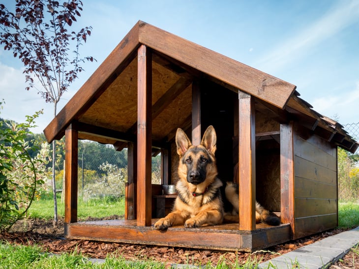 Doghouse