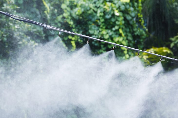 Nozzles spraying mist