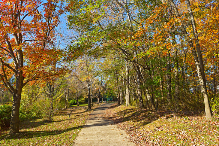 Trail in Falls Church, Virginia
