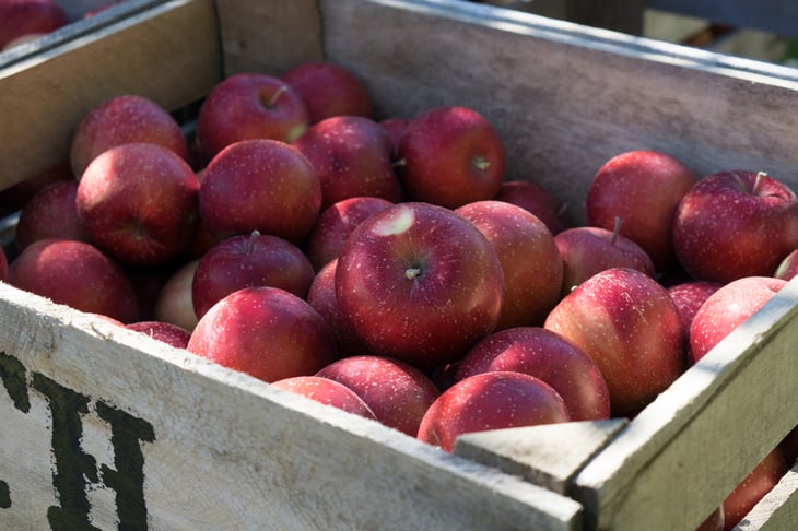 apples