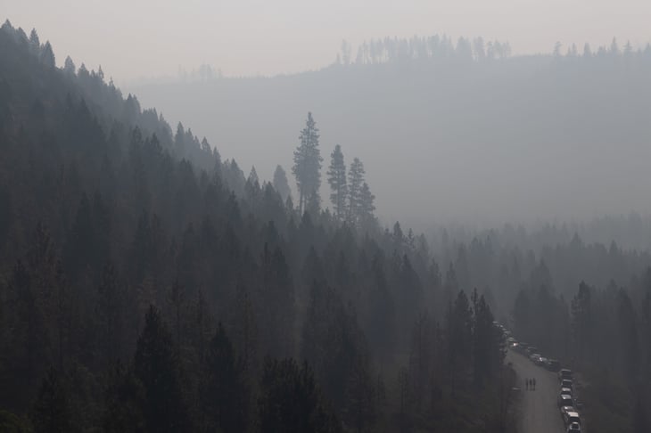 Smoke in a forested area near Bend, Oregon
