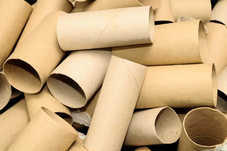 Cardboard tubes from toilet paper rolls