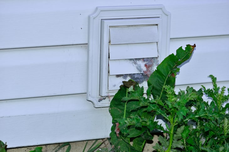Dryer exhaust vent with weeds