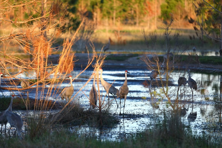 Deltona, Florida