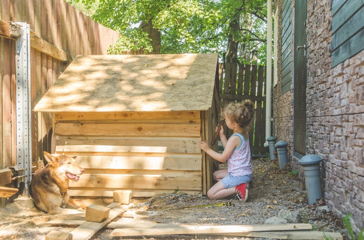 Girl building a doghouse with a dog