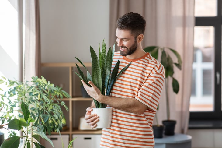 Man holding a houseplant