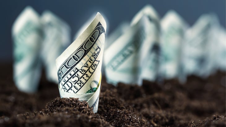 Asset allocation and growth