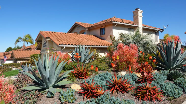 Southwestern drought tolerant landscaping with succulents in Southern California