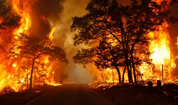 Wildfire at Bastrop State Park in Texas