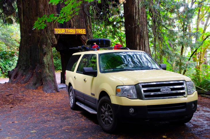 A Ford Expedition by the Tour Thru Tree in Klamath, California