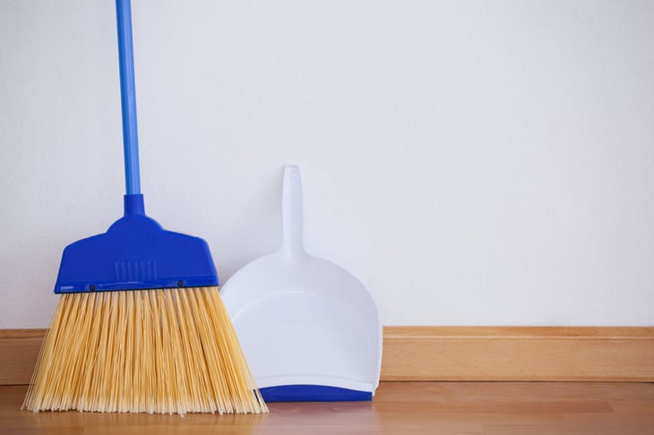 Broom and dustbin dustpan dusting