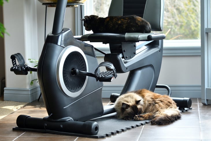 Exercise bike in disuse
