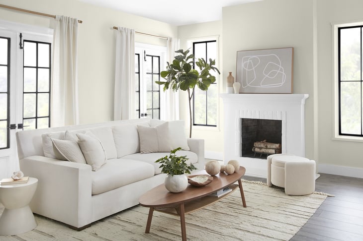 Behr Paint Co. color of the year Blank Canvas