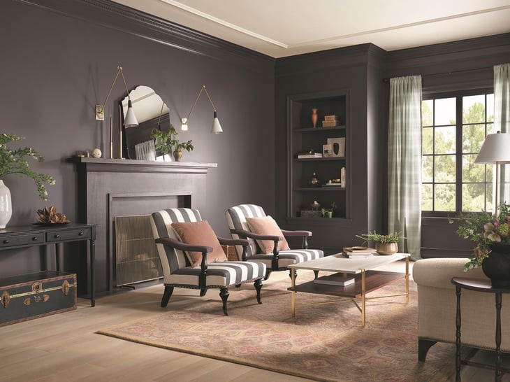 HGTV Home by Sherwin-Williams 2023 paint color of the year Darkroom