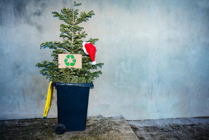 Recycling a Christmas tree