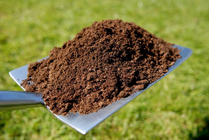 Compost on a flat gardening shovel over a lawn