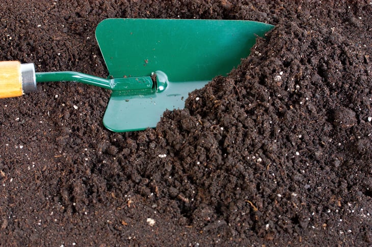 shovel in soil