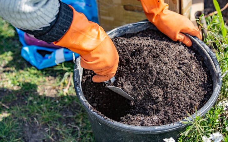 A gardener in orange rubber gloves holds a container of soil and organic fertilizer to feed a lawn.