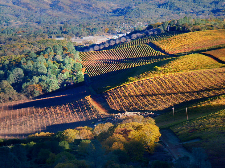 Vineyards, Lake County California