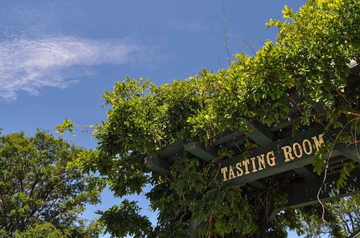 Tasting Room sign hanging in grape vines