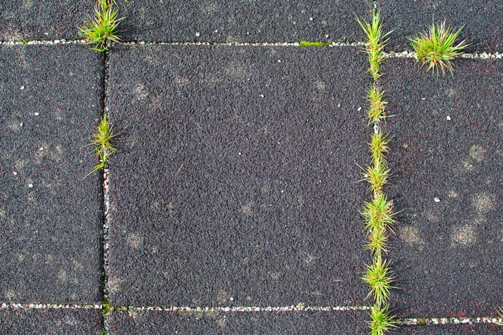 Rubber tiles with grass growing between them