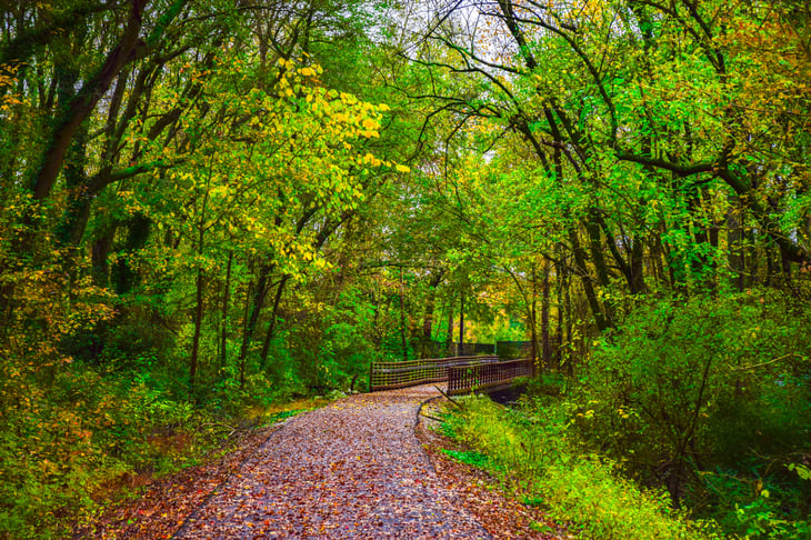 Greenville, South Carolina