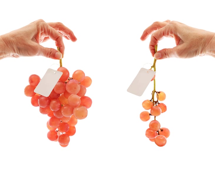 Hands holding grapes for sale and comparing unit cost or price per unit for shrinkflation or inflation cost increases
