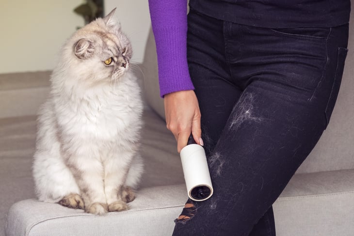 Woman cleaning cat hair off pants with a lint roller