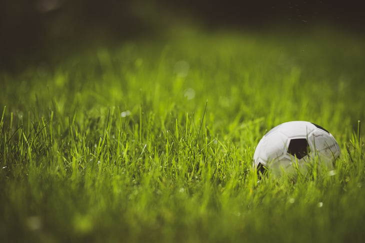 Soccer ball in field