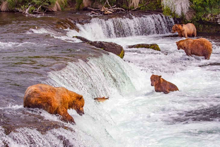 Katmai National Park