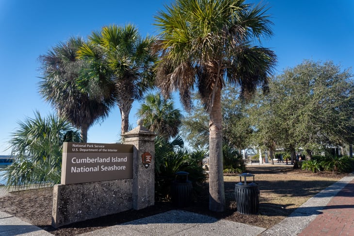 Cumberland Island National Seashore National Park