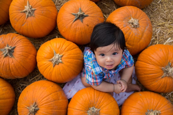 Child in a pumpkin patch