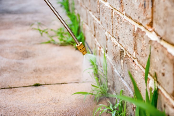 Spraying weed killer