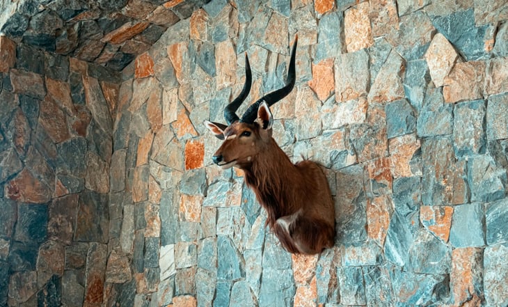 Mounted animal head wall trophy