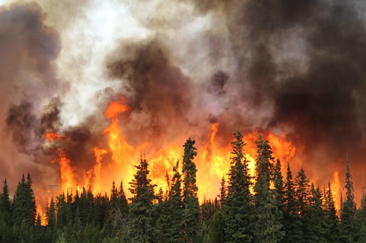 Wildfire in Alaska