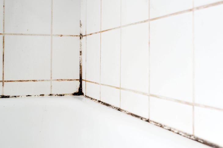 Mold on tiles in a bathroom