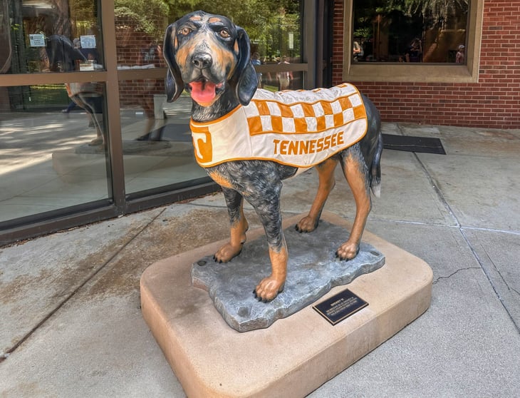 Knoxville, Tennessee, United States, 12 Aug 2023: "Smokey" - The iconic mascot of the University of Tennessee.