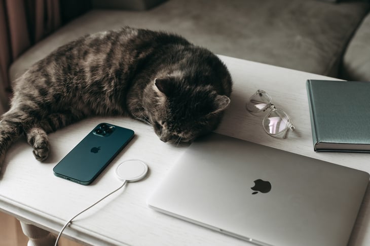 MacBook Pro, Apple iPhone 12 Pro Max smartphone with wireless charging on a table with a notebook, glasses, and cat.