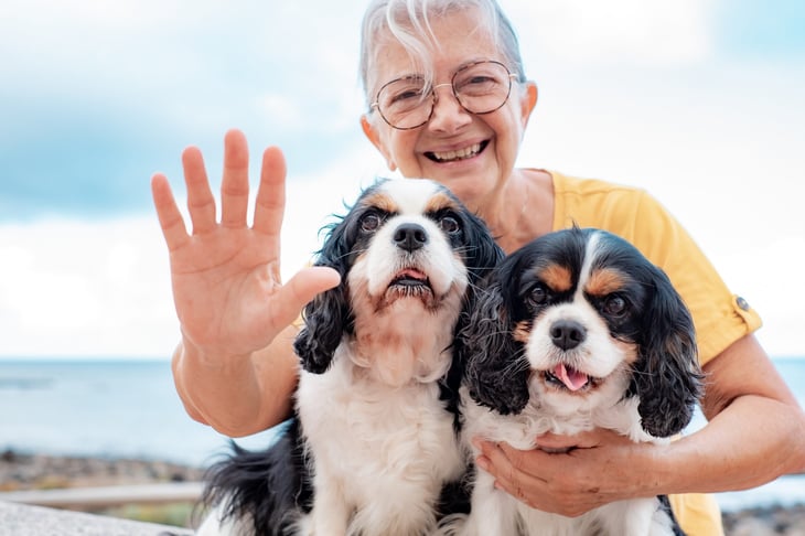 Retired woman at the beach with her two dogs