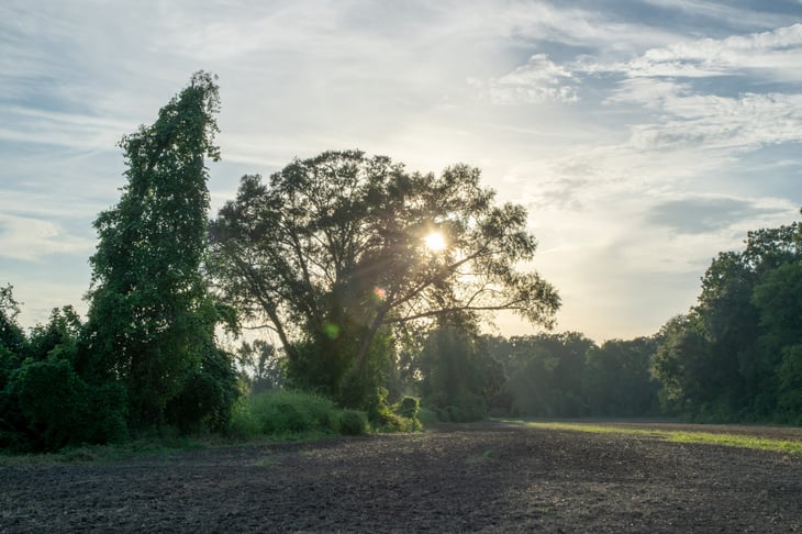 Farm in Avoyelles Parish, Louisiana