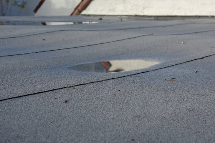 Ponding rainwater on flat roof after rain is result of drainage problem. Roof leaking, settling or sagging is result of framing issues, rotten or saturated sheathing.