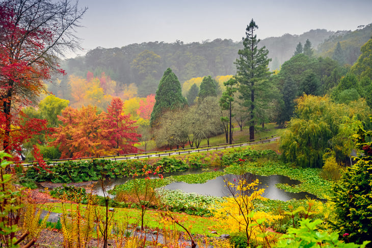 Adelaide Hills, Australia
