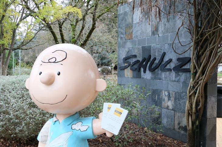 Charlie Brown Peanuts