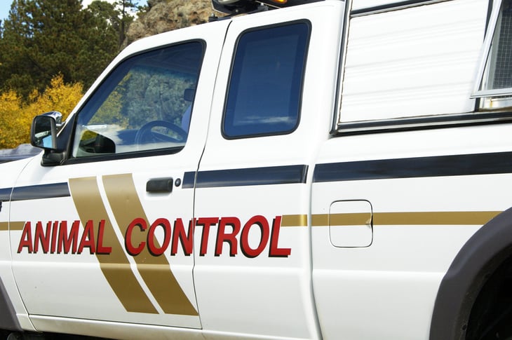 An animal control vehicle on duty