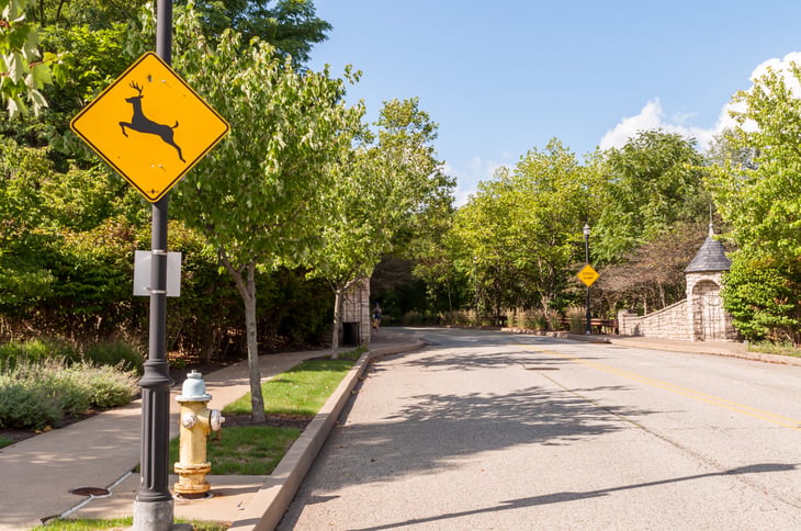 Deer crossing sign in the Summerset neighborhood of Pittsburgh