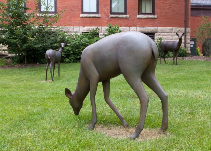 Deer statues on the lawns of Iowa State University in Ames.