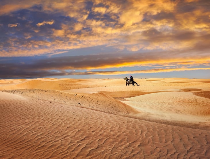 Person riding a horse in a desert