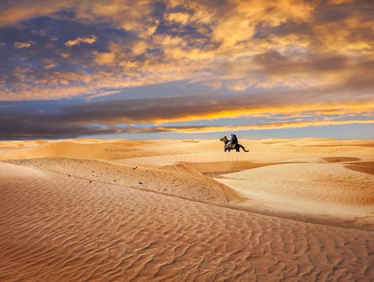 Person riding a horse in a desert